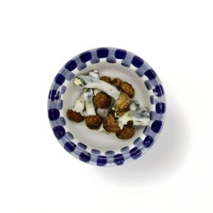 blue pulaski mushrooms